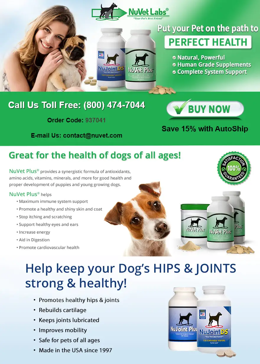 Animal Chiropractic Services FL NuVet Labs Pet Supplements