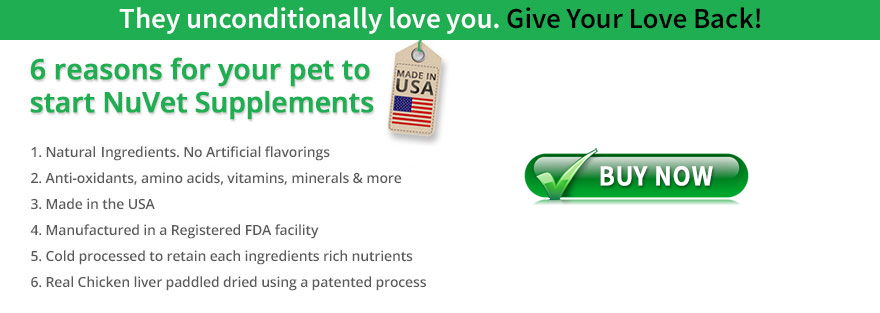 Animal Chiropractic Services FL NuVet Labs Pet Supplements