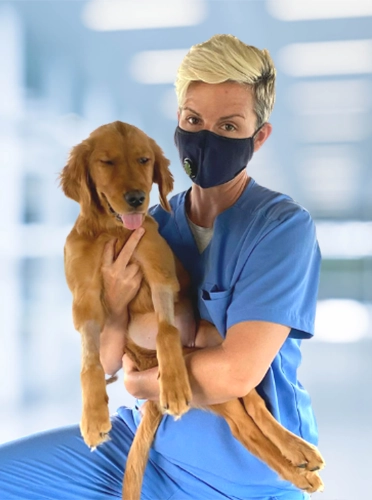 Animal Chiropractor FL Tonya Carswell Thank You Animal Chiropractor FL Tonya Carswell Thank You